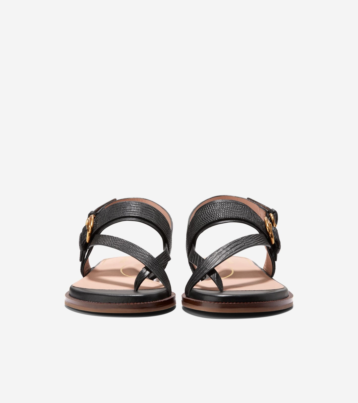 W30979:BLACK LTR
