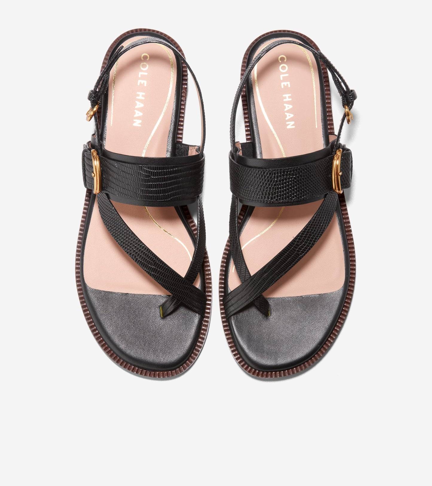 W30979:BLACK LTR