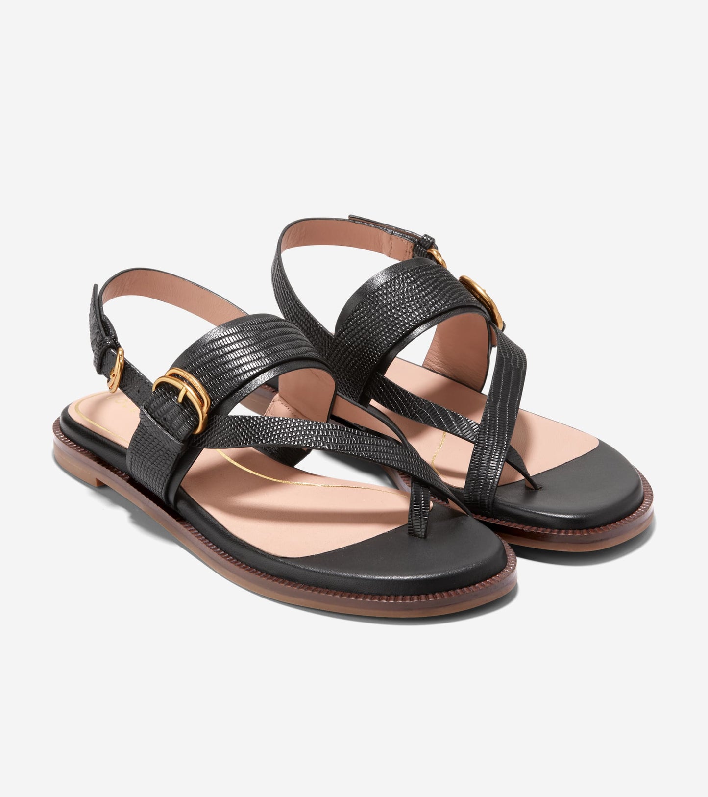 W30979:BLACK LTR