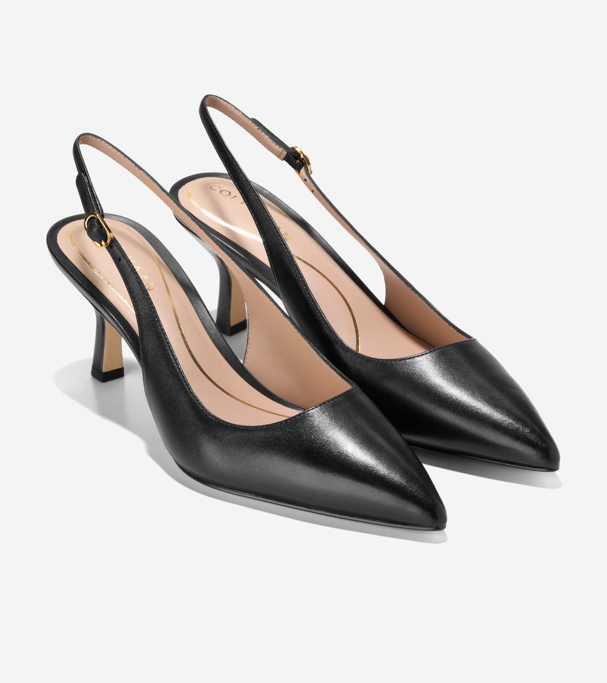W33777:BLACK LTR