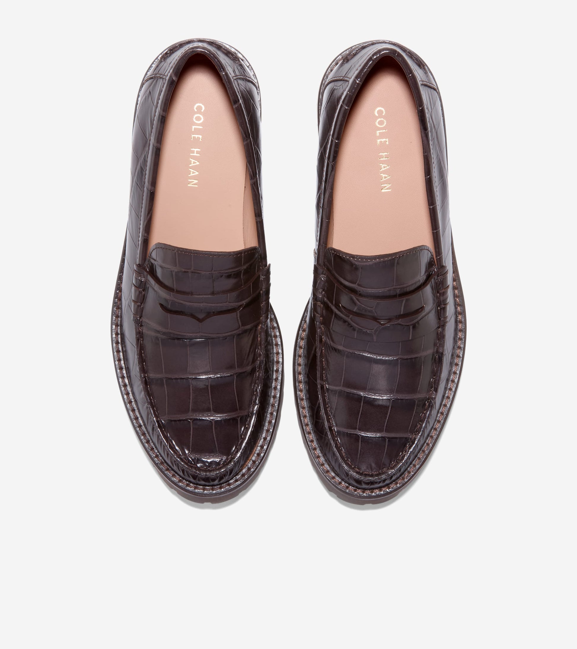 W34338:CH DK CHOCOLATE CROC PRT LTR