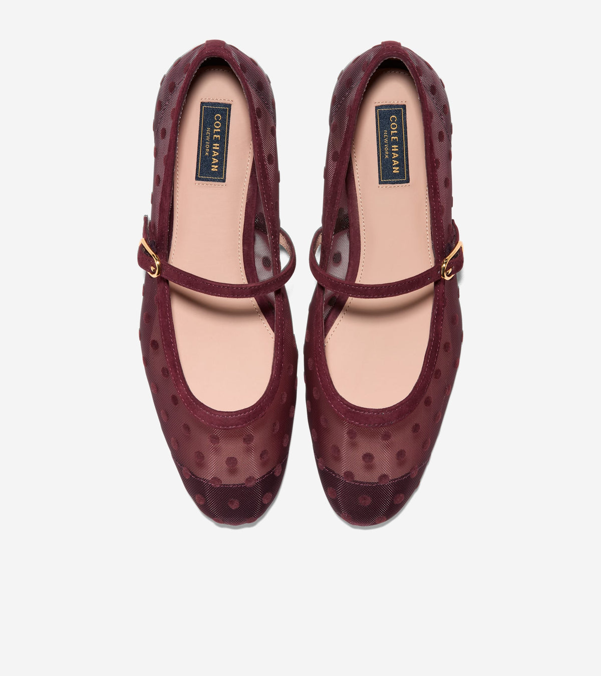 W38427:BURGUNDY POLKA DOT MESH / CH BLOODSTONE SUEDE