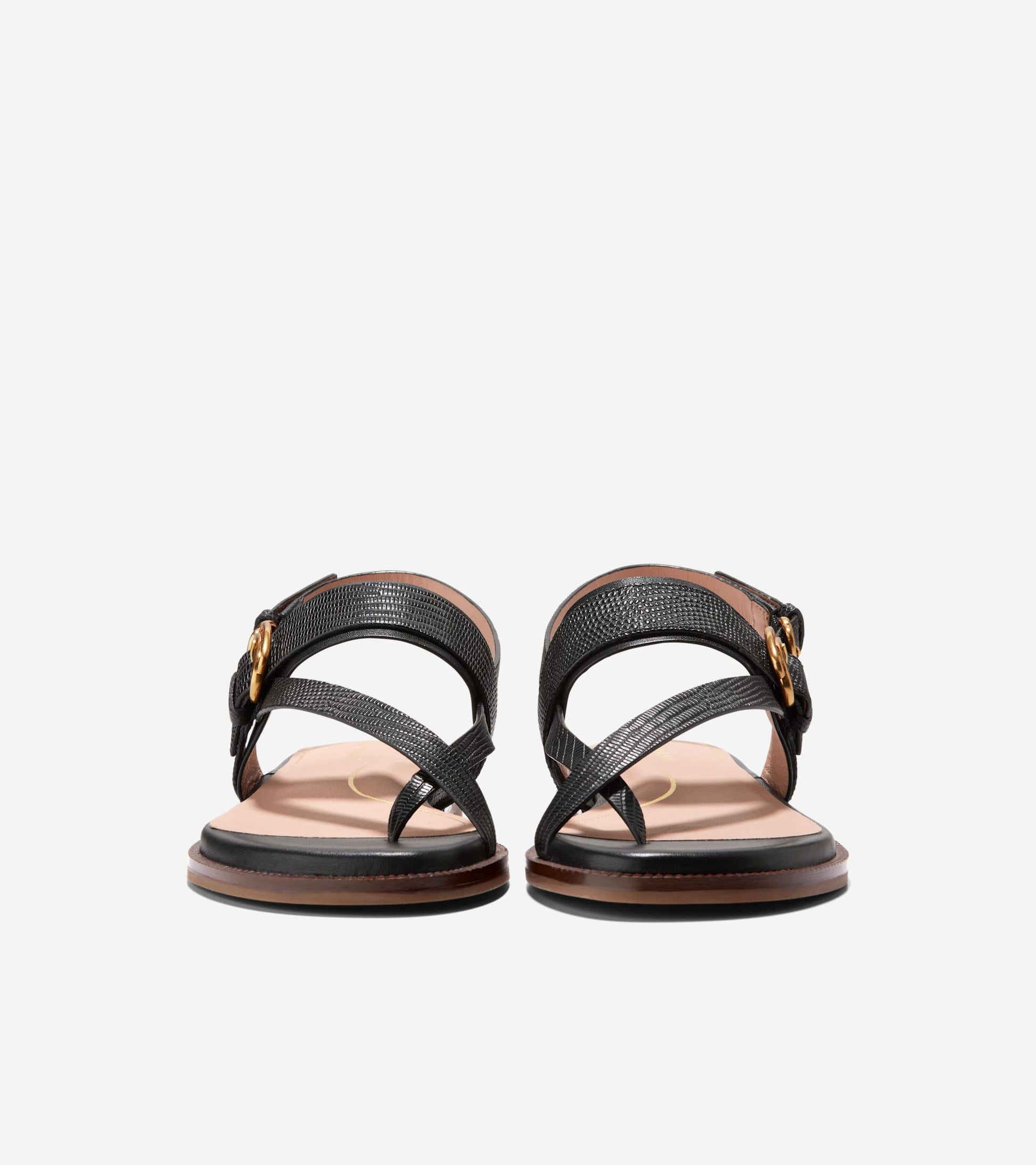 W30979:BLACK LTR
