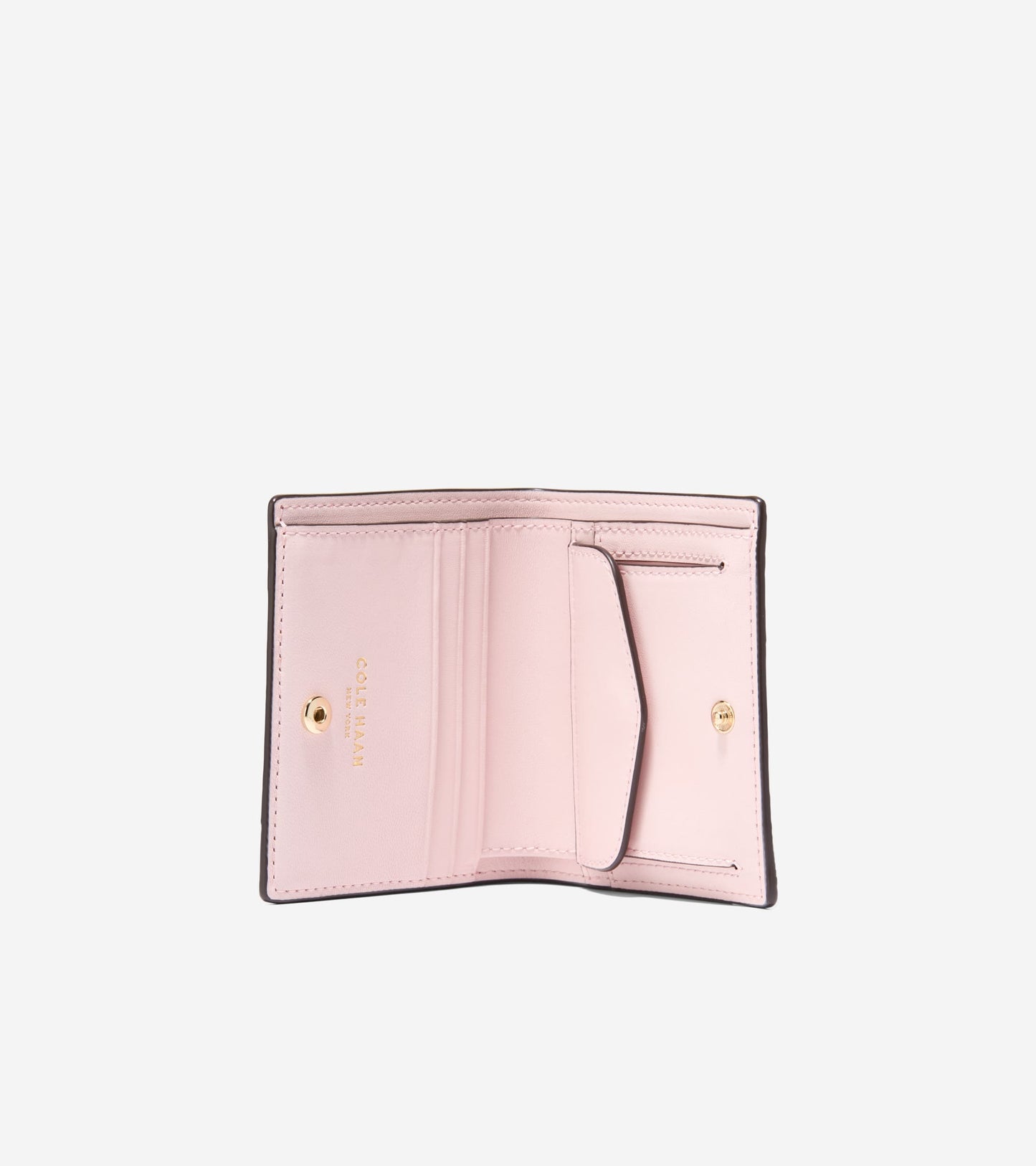 U08213:DK. CUOIO/PALE LILAC:0000