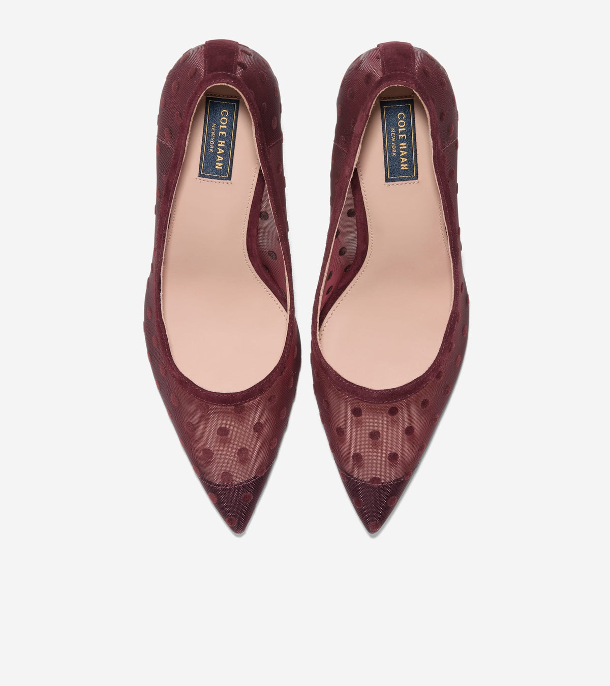 W38428:BURGUNDY POLKA DOT MESH / CH BLOODSTONE SUEDE