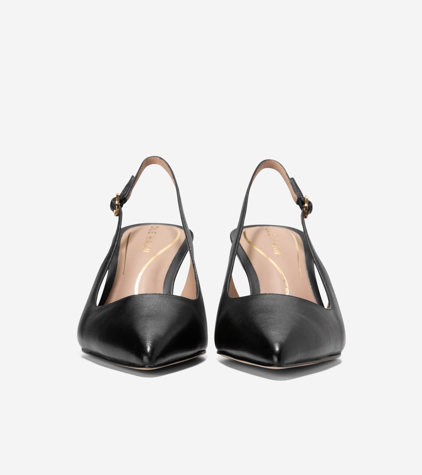 W33777:BLACK LTR