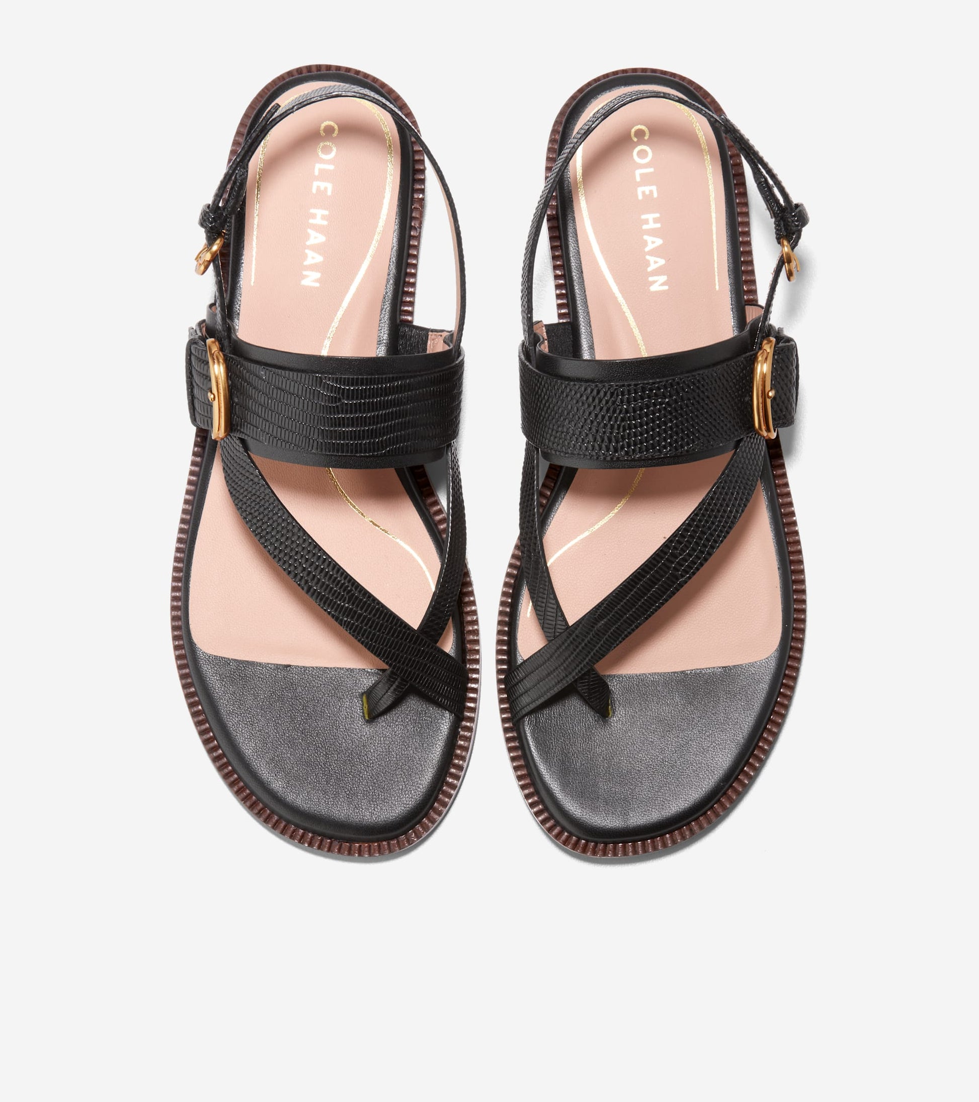 W30979:BLACK LTR
