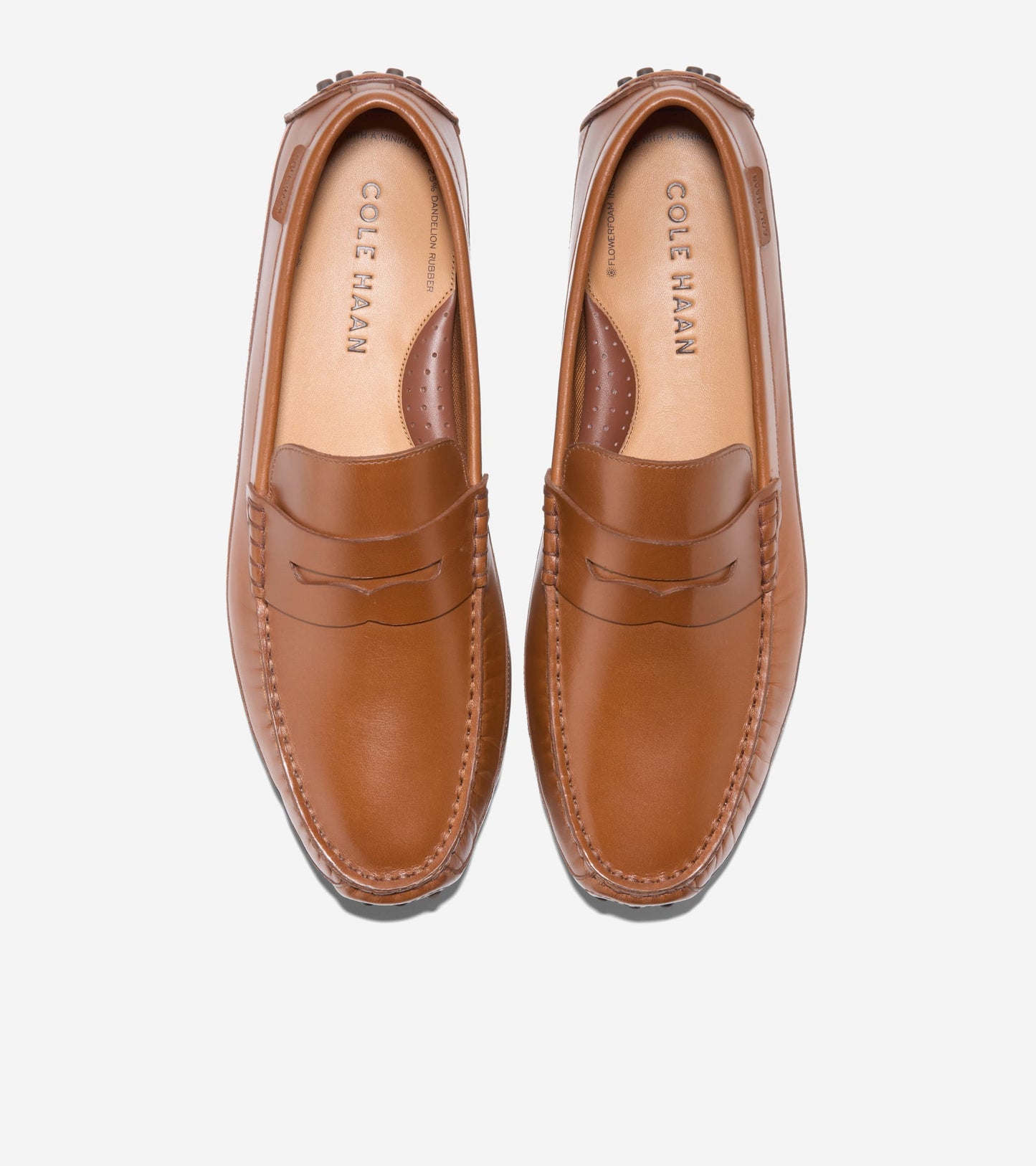 C41727:CH BRITISH TAN /CH JAVA