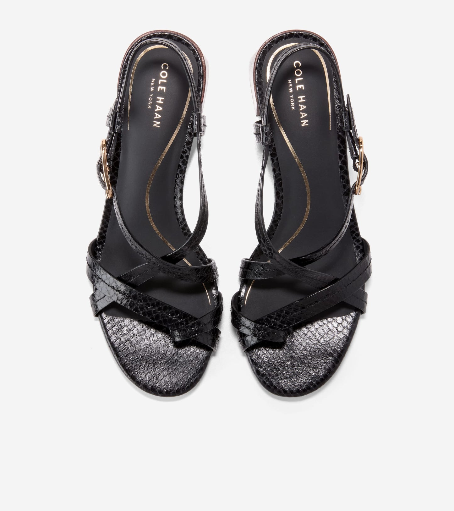W36595:BLACK GLOSSY SNAKE PRINT LTHR
