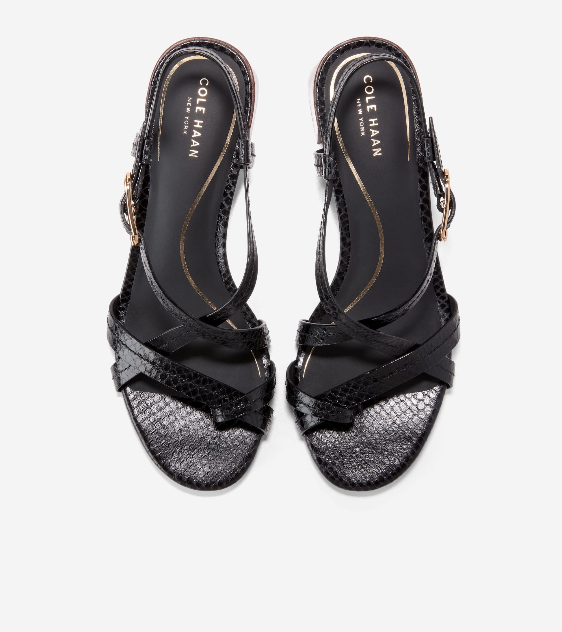 W36595:BLACK GLOSSY SNAKE PRINT LTHR
